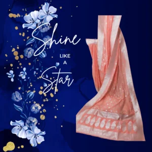 Peach Banarasi Georgette Saree with Silver Work